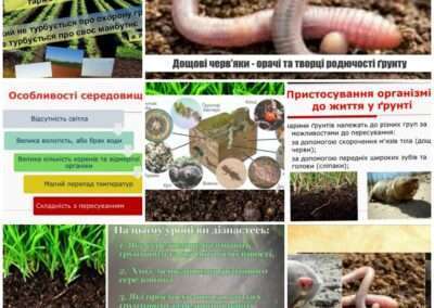 Тема: грунт як середовище життя та його мешканці